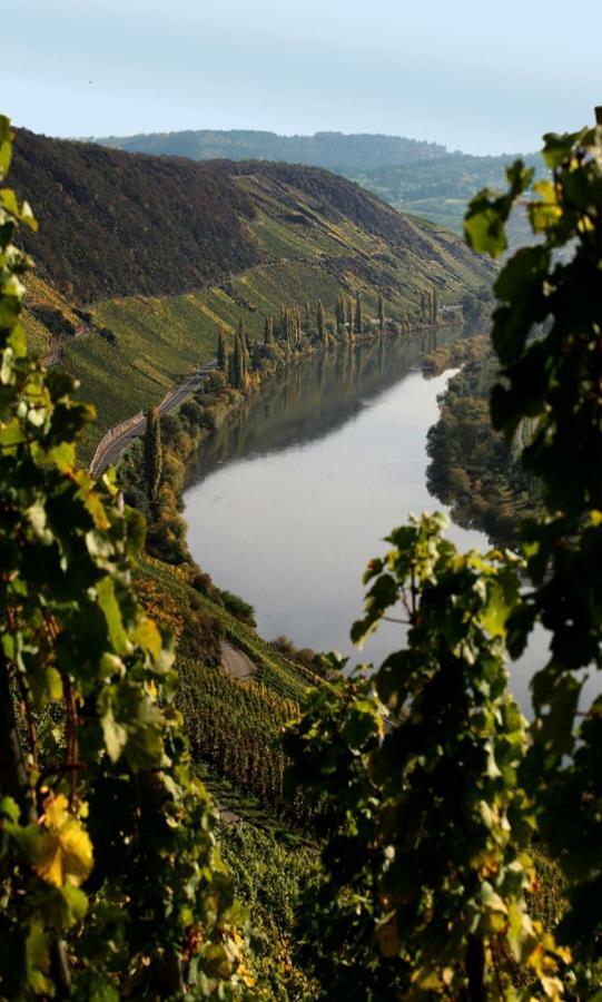 Отель Weingut Berweiler Klusserath Экстерьер фото